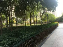 数码公寓,标间,全新装修,保持好