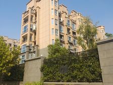 奥体旁次新小区金德嘉苑两室好楼层急售