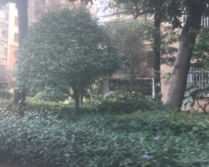 碧桂园威尼斯城水岸人家3室1厅南