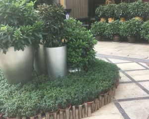 万达公馆3室2厅南