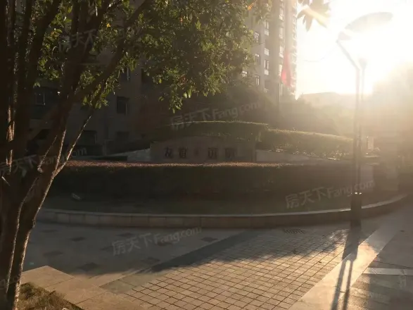 友谊国际