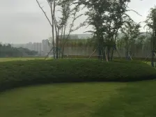 国企品质,前排正看江,视野好无遮挡,学X好,急卖!