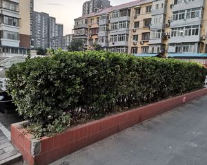 三环内满五唯一精装修好楼层视野采光很好