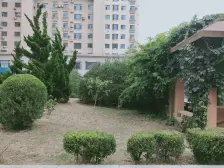 采光好、视野宽阔、户型好、出行便利