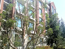 基业世琾 1室1厅 南