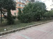 婚房浅色调装修 南北向无坡中间楼层 拎包入住全天采光