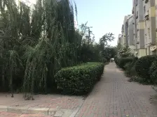 泡崖康馨园 3楼房子 大落地窗精装修