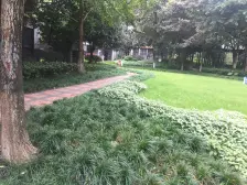 南滨路 东原品质小区 精装修 简约风格 拎包入住