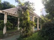 视野宽阔,采光佳,业主诚意,少有户型,带电梯