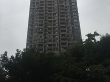 南滨路 东原品质小区 精装修三房双卫 楼下就是公园