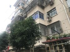 老闵行·南北大街·1室·1厅