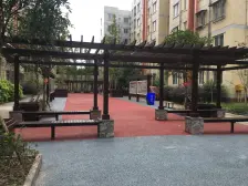 陈家桥 廖家坪安置区三房49万