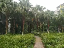 步行街 惠丰居三房37万