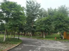 龙桥花苑五组团 3室2厅 南