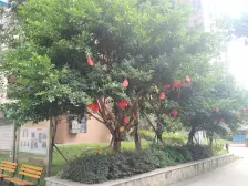 总价门槛低,适合刚需及预算有限的购房者