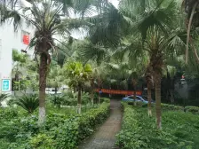 小区绿化环境好,生活物资购买方便