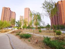 业主诚意出售,小区绿化好,停车方便,看房方便