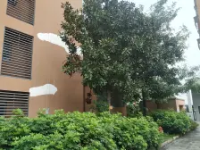 发展空间大,配套齐全,小区绿化好