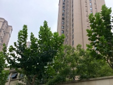 万科翡翠系列,3房3卫,一梯一户,飞机户型,高层