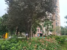 总价门槛低,适合刚需及预算有限的购房者