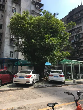公交宿舍大院
