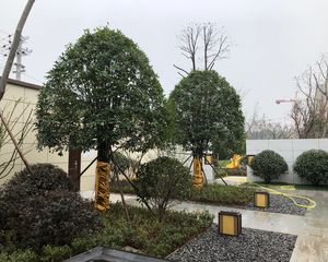 恒泰芙蓉悦府3室2厅南