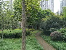 大渡口,滨江新城板块,成熟小区,滨江路旁品质