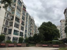 电梯房,三房朝南,精装修,精装好房,房型正气