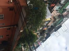 光新·岚皋路300弄·1室·0厅