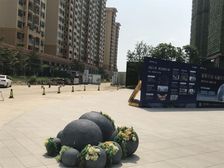 小区楼距开阔,绿化好,生活交通便利。