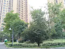 力高国际 1室1厅 南