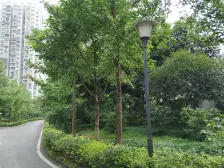 钓鱼嘴半岛 申佳子溪苑二房50万