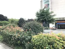 城南新区 国贸大厦一房29.5万