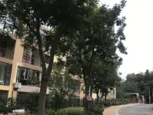 封闭小区电梯房70年产权,高楼层视野好采光好,户型好