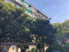 南北小两房 楼层好 出行方便 楼层好 随时可看