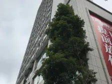 城南新区 国贸大厦一房61.8万