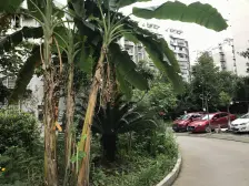 北晨丽景 2室1厅 东南