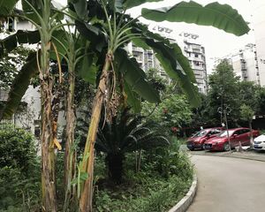 城南新区北晨丽景二房53万