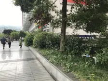 小朝标指在城南步行街大一房低价急售