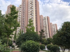 张江南景观位置,不靠高架,看房有钥匙,诚意急售