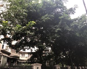 倍特金杏苑B区3室2厅南