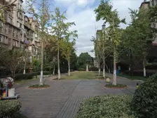 带地下室,花园, 层高接近6米 采光好 楼幢位置 好