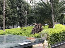 客厅朝南的两居室、户型方正、明厨