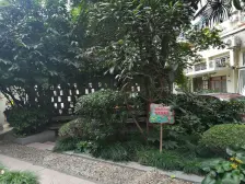 带电梯老公寓,南京西路静安位置,大四房设计师装修!