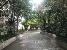 大渡口区府旁 端头 大两房 采光好