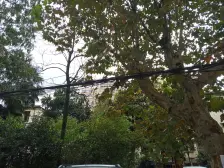 西边套全明南北两房,看房有钥匙,黄今楼层,近7/9/12号线