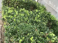 新出双南两室一厅,户型方正随心改动,采光好非顶楼,看房随时