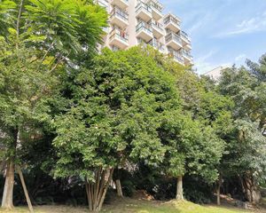 瑞丰花园2室1厅东南