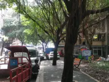 精装正四房双卫 出行便利,配套成熟 楼栋近轻轨