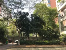 尚东大道 电梯房18楼次顶楼 稀缺一房户型 带装修